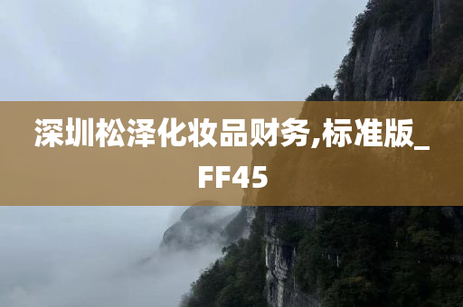 深圳松泽化妆品财务,标准版_FF45