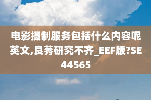 电影摄制服务包括什么内容呢英文,良莠研究不齐_EEF版?SE44565