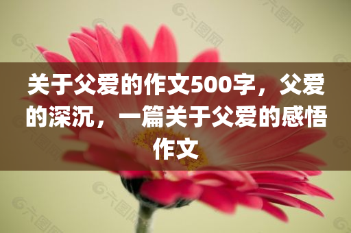 关于父爱的作文500字