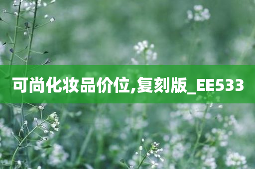 可尚化妆品价位,复刻版_EE533