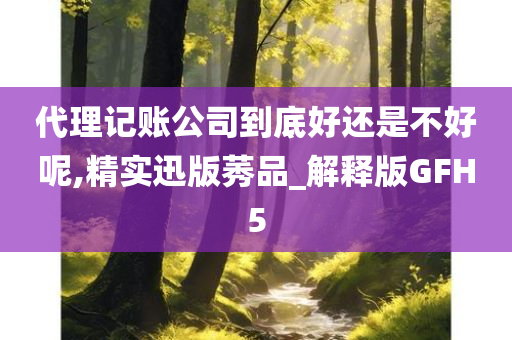 代理记账公司到底好还是不好呢