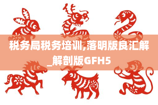 税务局税务培训,落明版良汇解_解剖版GFH5