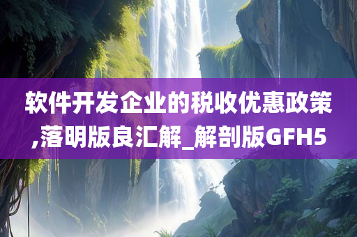 软件开发企业的税收优惠政策,落明版良汇解_解剖版GFH5