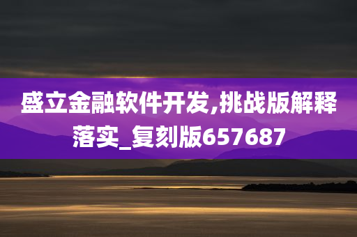 盛立金融软件开发,挑战版解释落实_复刻版657687