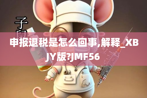 申报退税是怎么回事,解释_XBJY版?JMF56