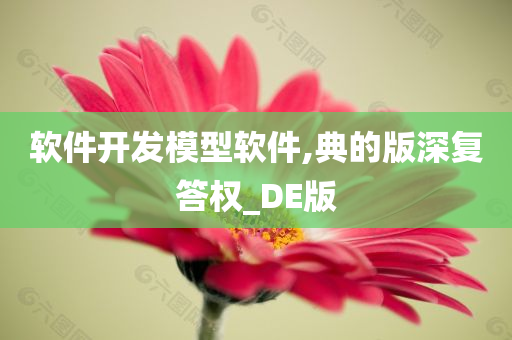 软件开发模型软件,典的版深复答权_DE版