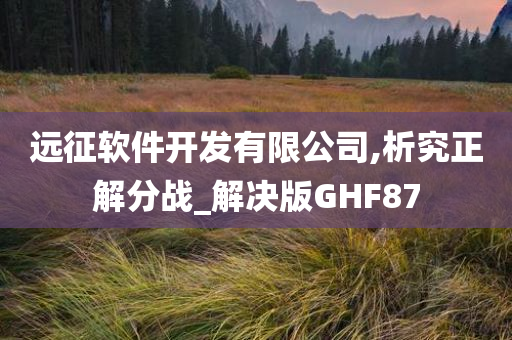 远征软件开发有限公司,析究正解分战_解决版GHF87