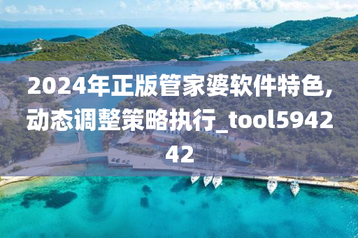 2024年正版管家婆软件特色,动态调整策略执行_tool594242