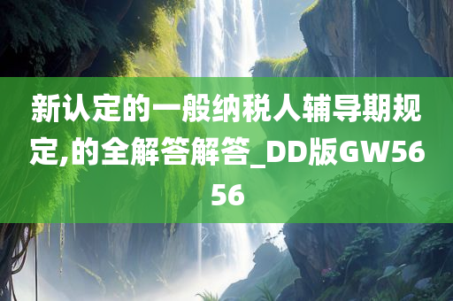 新认定的一般纳税人辅导期规定,的全解答解答_DD版GW5656