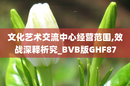 文化艺术交流中心经营范围,效战深释析究_BVB版GHF87