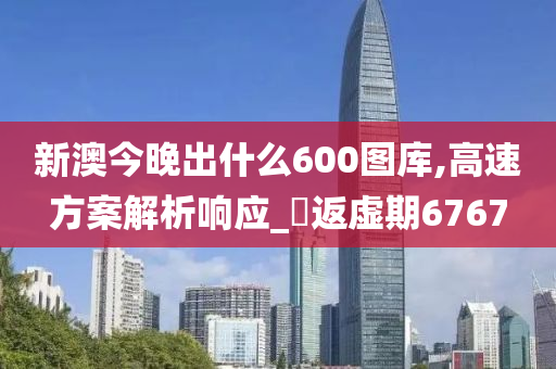 新澳今晚出什么600图库,高速方案解析响应_?返虚期6767