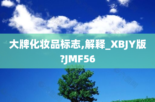 大牌化妆品标志,解释_XBJY版?JMF56