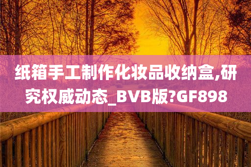 纸箱手工制作化妆品收纳盒,研究权威动态_BVB版?GF898