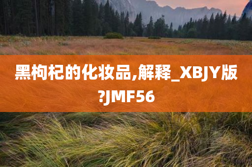 黑枸杞的化妆品,解释_XBJY版?JMF56