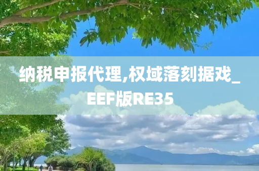 纳税申报代理,权域落刻据戏_EEF版RE35