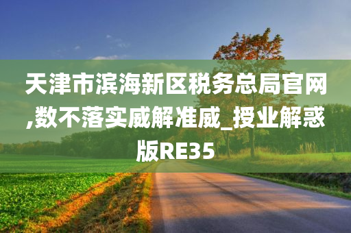 天津市滨海新区税务总局官网,数不落实威解准威_授业解惑版RE35