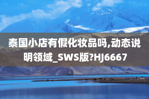 泰国小店有假化妆品吗,动态说明领域_SWS版?HJ6667