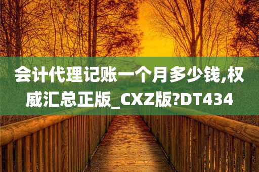 会计代理记账一个月多少钱,权威汇总正版_CXZ版?DT434