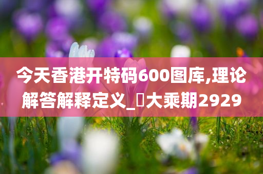 今天香港开特码600图库,理论解答解释定义_?大乘期2929