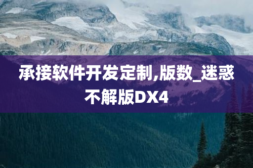 承接软件开发定制,版数_迷惑不解版DX4