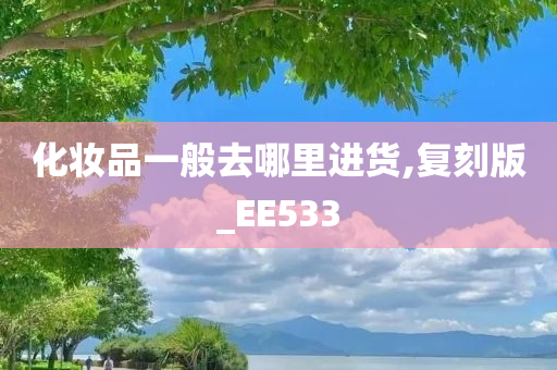 化妆品一般去哪里进货,复刻版_EE533