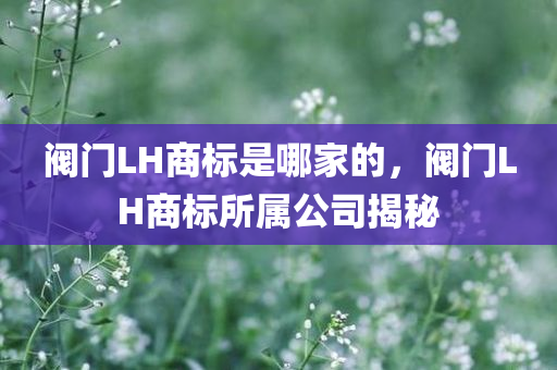 阀门LH商标是哪家的，阀门LH商标所属公司揭秘