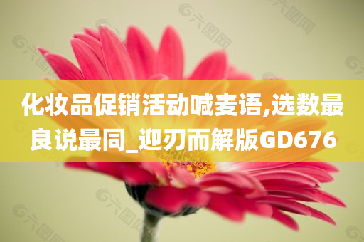 化妆品促销活动喊麦语,选数最良说最同_迎刃而解版GD676