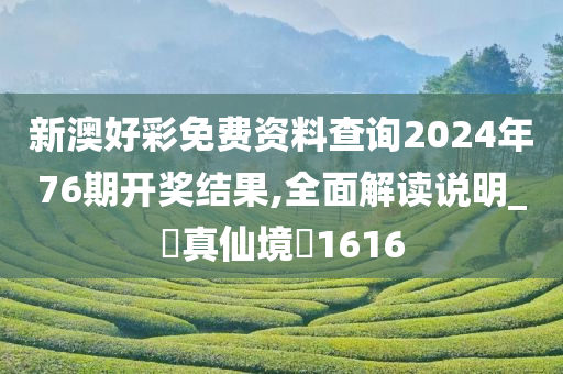 新澳好彩免费资料查询2024年76期开奖结果,全面解读说明_?真仙境?1616