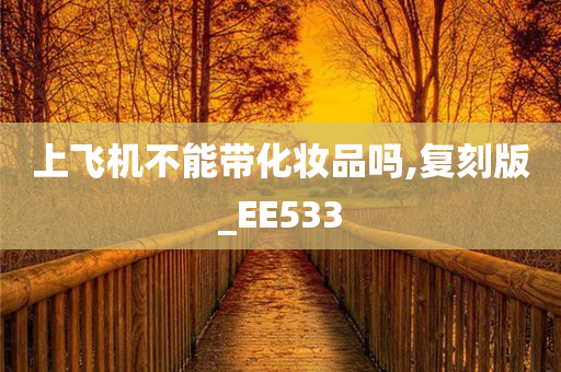 上飞机不能带化妆品吗,复刻版_EE533