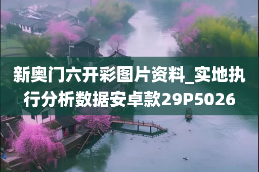 新奥门六开彩图片资料_实地执行分析数据安卓款29P5026