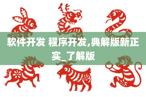 软件开发 程序开发,典解版新正实_了解版