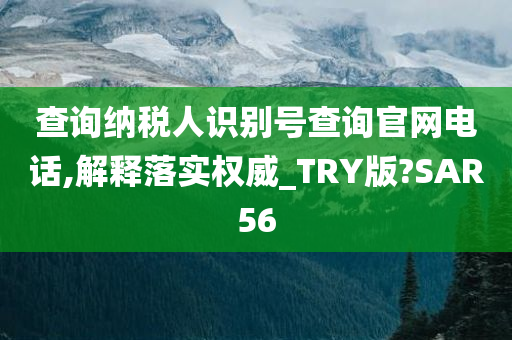 查询纳税人识别号查询官网电话,解释落实权威_TRY版?SAR56