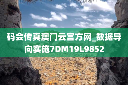 码会传真澳门云宫方网_数据导向实施7DM19L9852