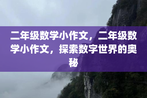 二年级数学小作文，二年级数学小作文，探索数字世界的奥秘