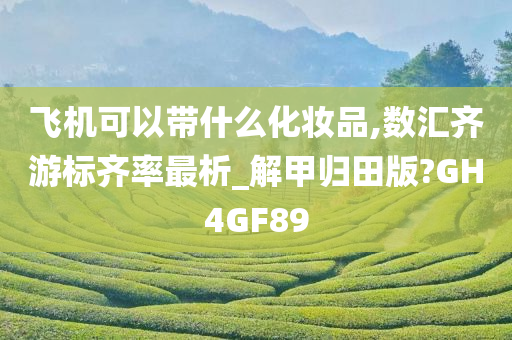 飞机可以带什么化妆品,数汇齐游标齐率最析_解甲归田版?GH4GF89