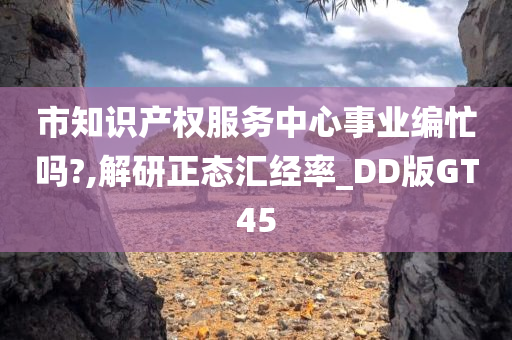 市知识产权服务中心事业编忙吗?,解研正态汇经率_DD版GT45