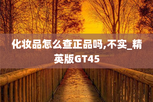 化妆品怎么查正品吗,不实_精英版GT45