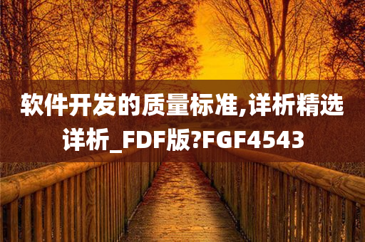 软件开发的质量标准,详析精选详析_FDF版?FGF4543