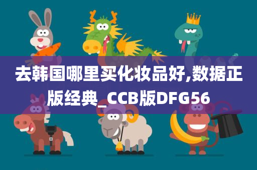 去韩国哪里买化妆品好,数据正版经典_CCB版DFG56