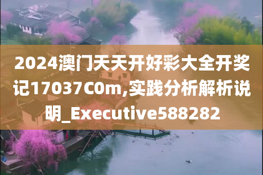 2024澳门天天开好彩大全开奖记17037C0m,实践分析解析说明_Executive588282