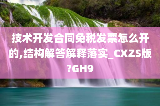 技术开发合同免税发票怎么开的,结构解答解释落实_CXZS版?GH9