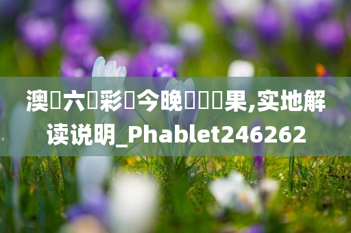 澳門六開彩開今晚開獎結果,实地解读说明_Phablet246262