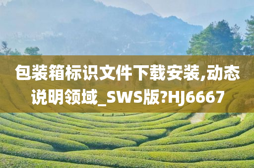 包装箱标识文件下载安装,动态说明领域_SWS版?HJ6667