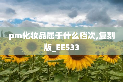 pm化妆品属于什么档次,复刻版_EE533