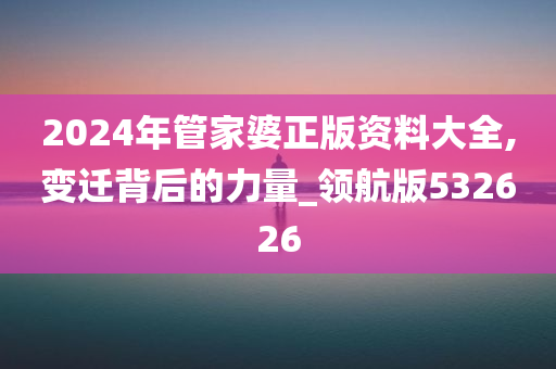 2024年管家婆正版资料大全,变迁背后的力量_领航版532626