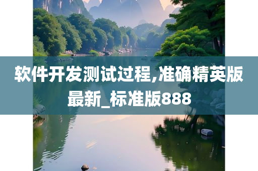 软件开发测试过程,准确精英版最新_标准版888