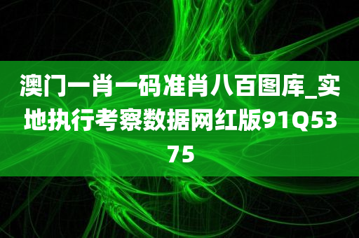 澳门一肖一码准肖八百图库_实地执行考察数据网红版91Q5375