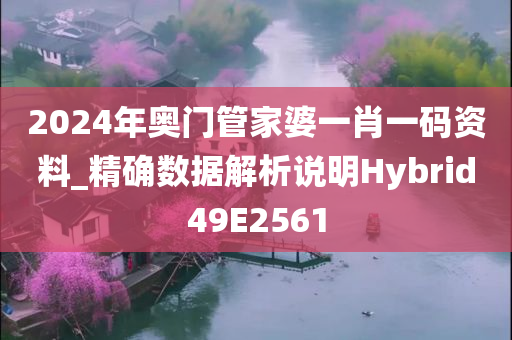 2024年奥门管家婆一肖一码资料_精确数据解析说明Hybrid49E2561