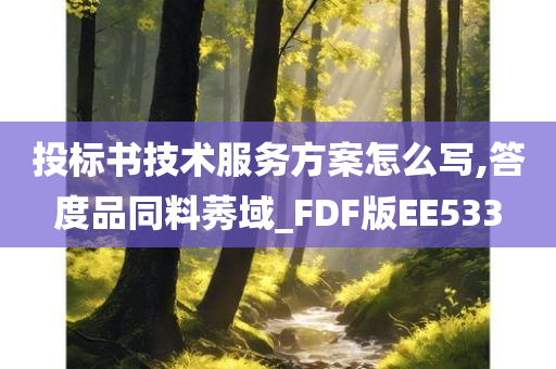 投标书技术服务方案怎么写,答度品同料莠域_FDF版EE533