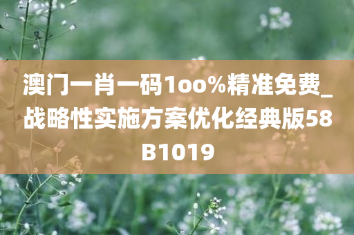 澳门一肖一码1oo%精准免费_战略性实施方案优化经典版58B1019